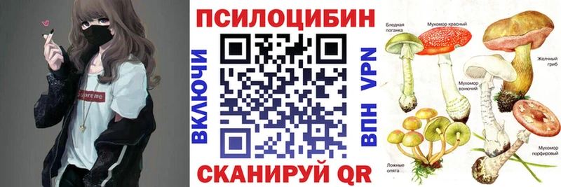 Псилоцибиновые грибы Psilocybine cubensis omg рабочий сайт Макарьев